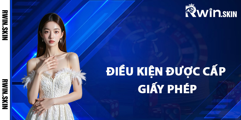 Giấy Phép Kinh Doanh Rwin – Cam Kết Tuân Thủ Nguyên Tắc 2 Điều kiện được cấp giấy phép kinh doanh Rwin